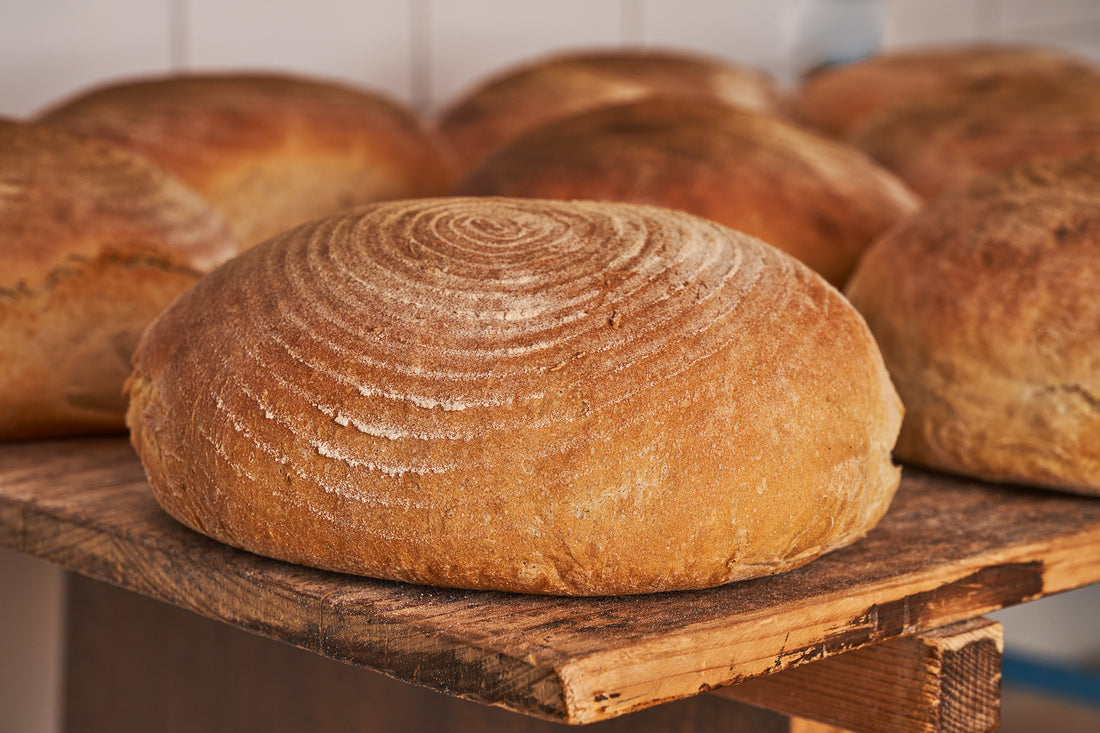 BROTBACKTAGE