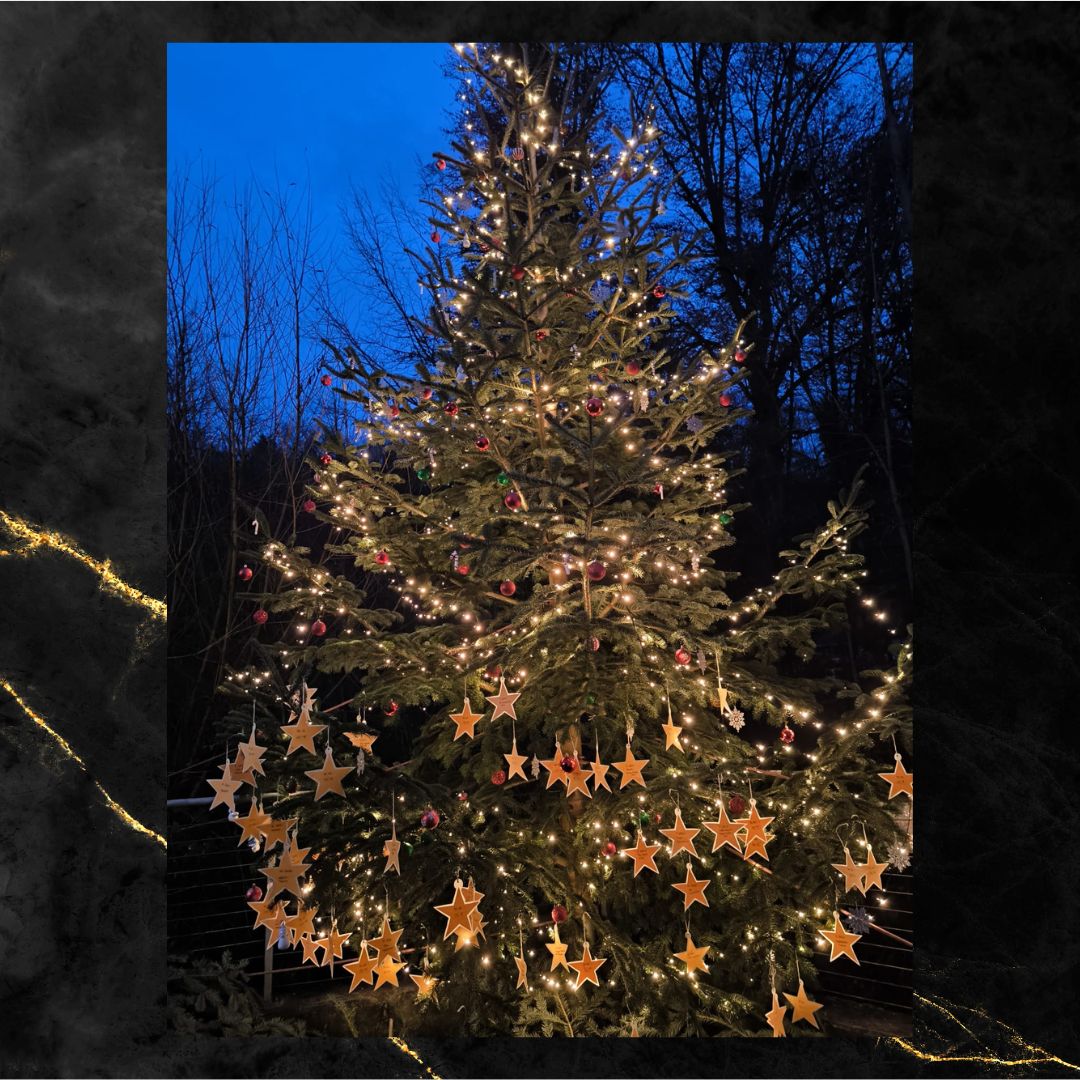 Weihnachts-Wunschbaum