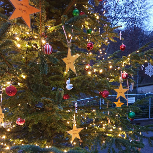 Wunschstern verschiedene Optionen